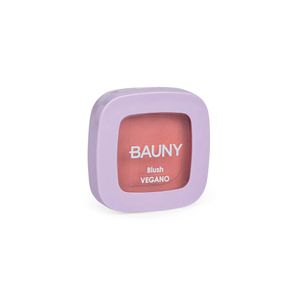 Blush Compacto Bauny 030