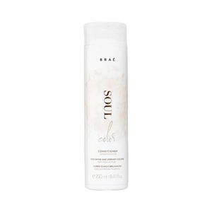 Condicionador Braé Soul Color 250ml